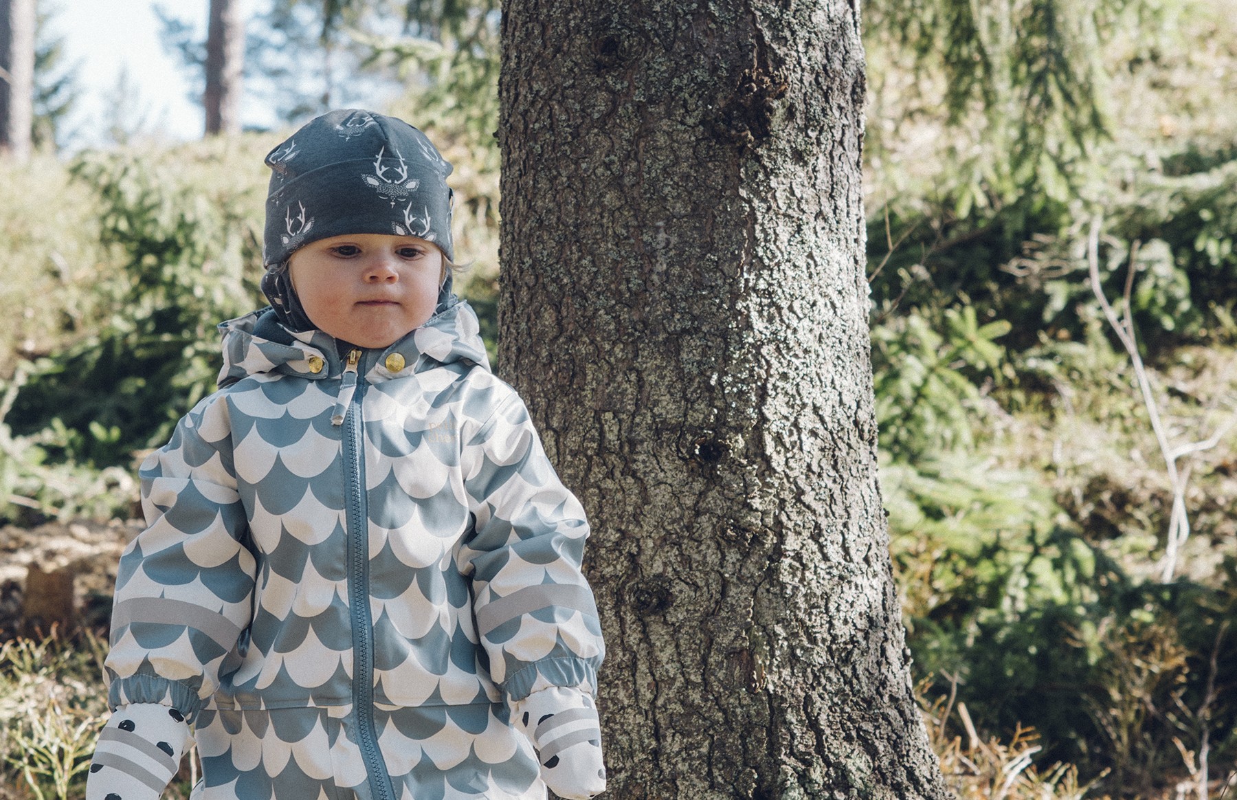 Järki vastaan tunteet ja niiden ristiaallokossa