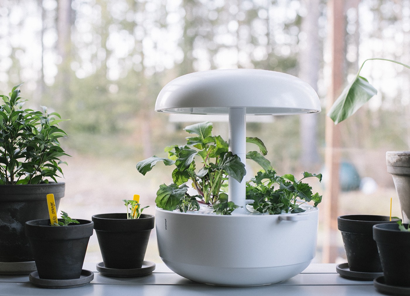 Plantui älypuutarha ja ALEKOODI